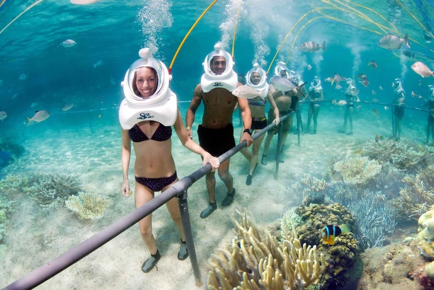 People snorkeling underwater with coral reefs and fish. 1