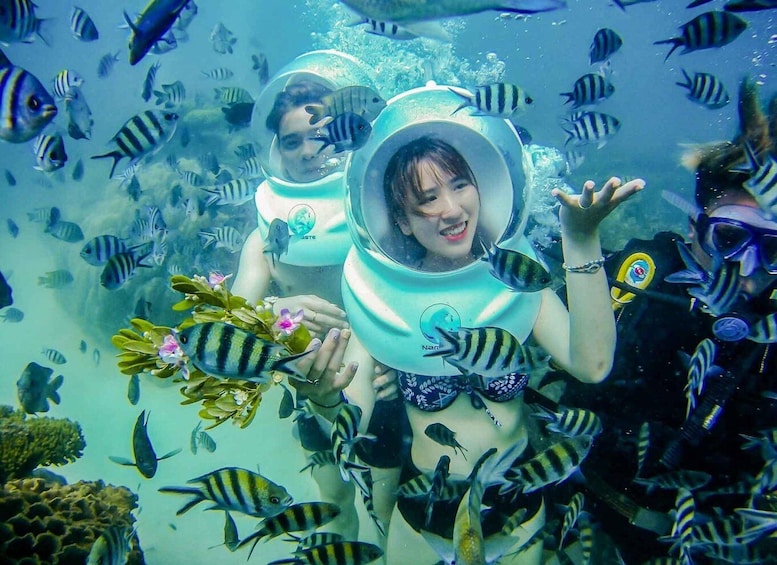 Two people underwater surrounded by tropical fish. 3
