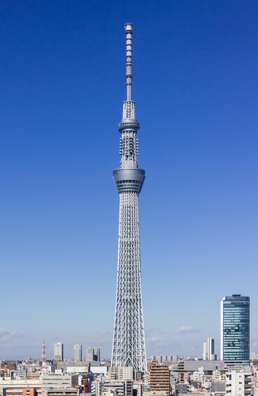 A tall, white, lattice tower with a spire, surrounded by a cityscape with various buildings. 5