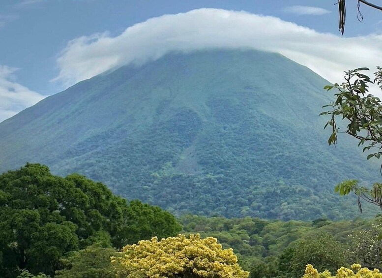 A mountain with a cloud base, surrounded by dense green forest. 1