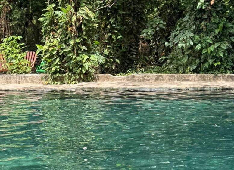 A clear pool surrounded by dense foliage and a stone wall. 4