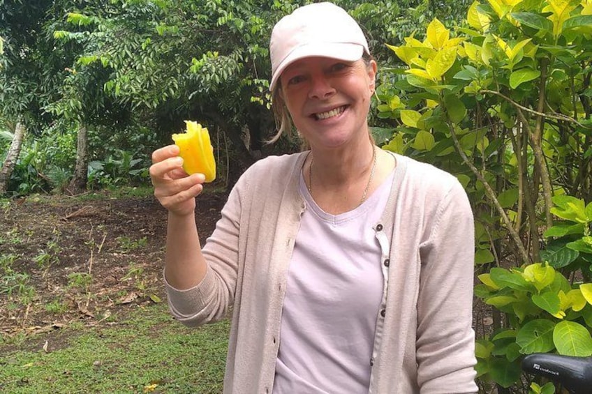 A person holding a yellow fruit, wearing a light-colored shirt and a cap, standing in a green, leafy outdoor setting. 4