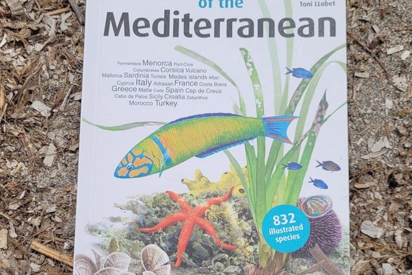 Une couverture de livre intitulée « Sur la Méditerranée », de Toni Llobet, présentant des illustrations de la faune marine et une liste de lieux méditerranéens. 2