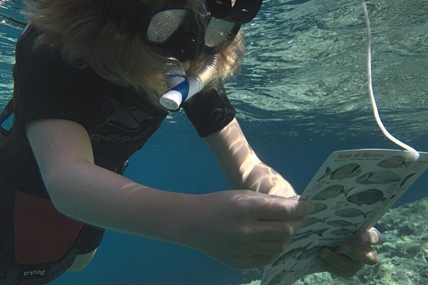 Une personne sous l’eau tenant un guide de voyage. 5