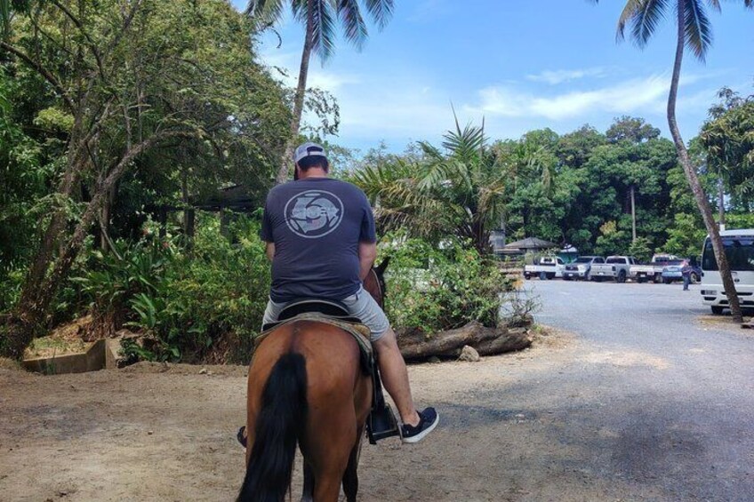 Horseback Riding adventure, monkey, sloths and island tour 5
