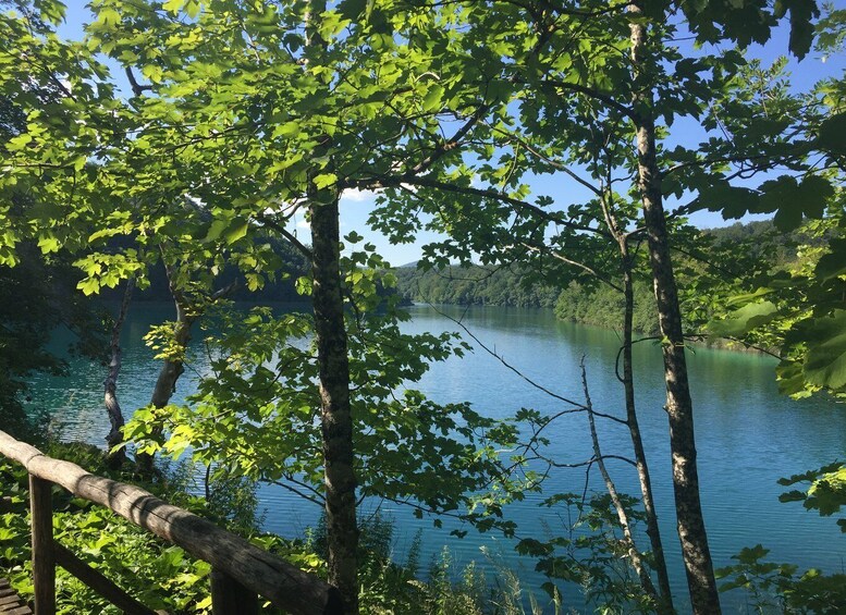 A serene lake surrounded by dense green foliage and trees. 5