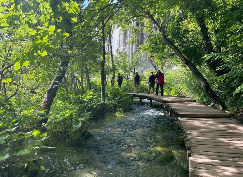 A wooden bridge over a stream in a forested area with people walking on it. 3