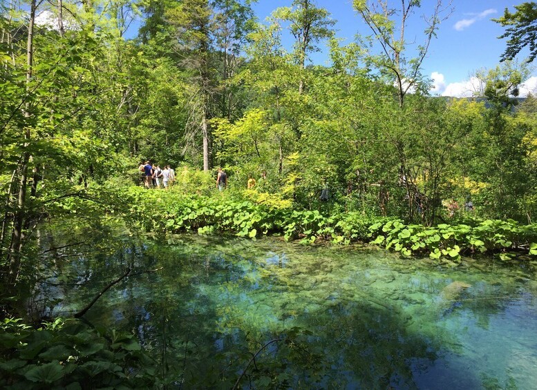 A group of people walking along a clear water path surrounded by lush greenery and trees. 2