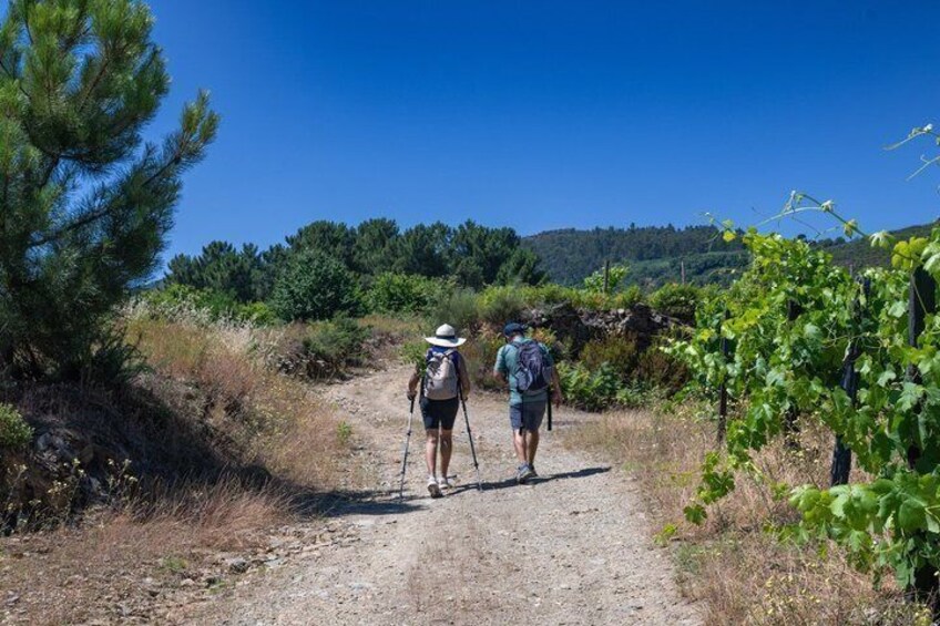 Port Wine Trail 2