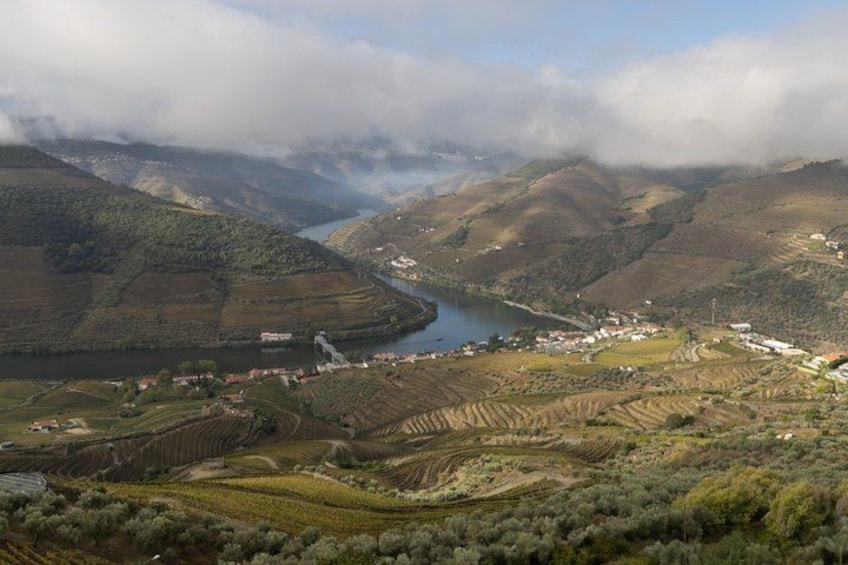 Douro Valley experience: boat, lunch and wine tour 3
