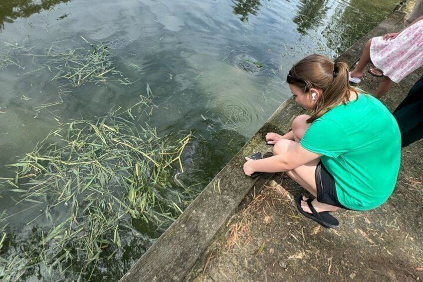 Une personne est assise au bord d’une étendue d’eau calme, où flottent des touffes d’herbe à la surface. 2