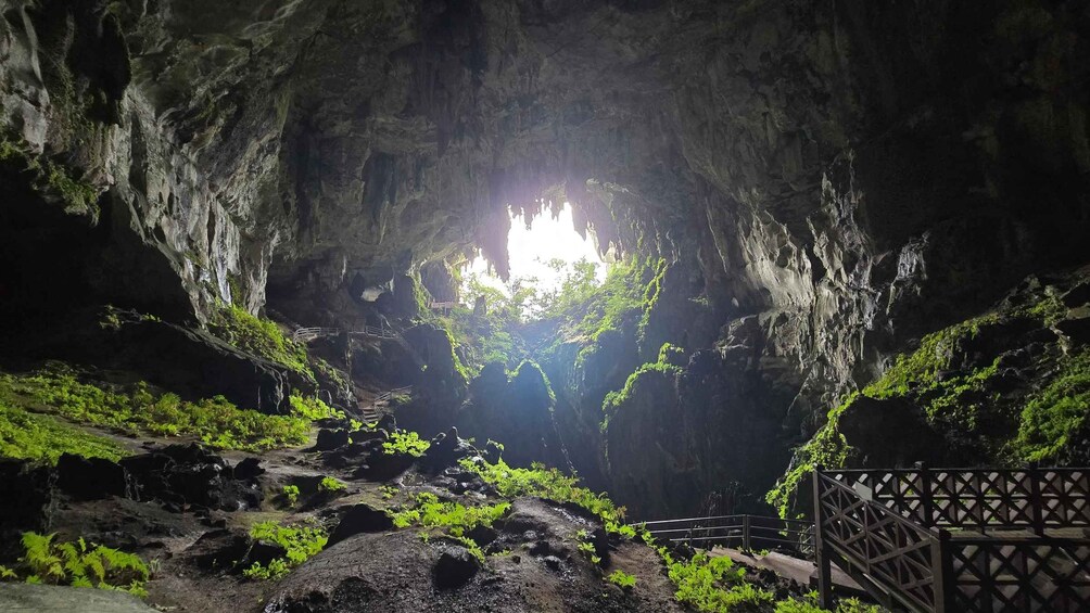 A cave entrance with sunlight streaming through, surrounded by greenery and rocky terrain. 3