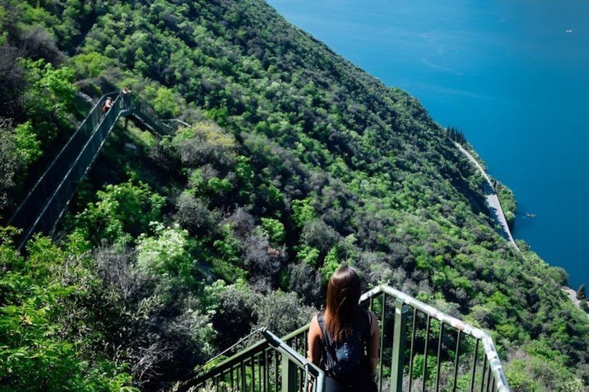 A person on a staircase overlooking a coastal landscape with dense greenery and a clear view of the sea. 1