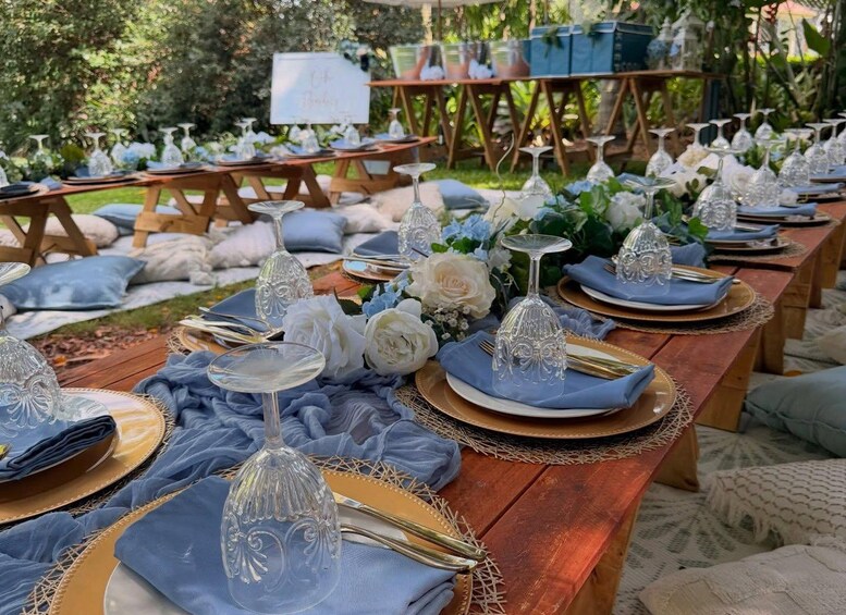 Luxurious pop up picnic at New Farm Park, Brisbane 1