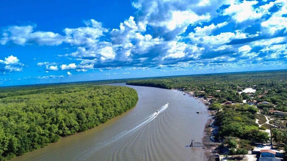 A river curving through a dense forest with a small settlement along the banks. 1
