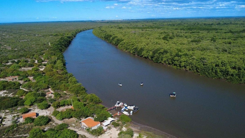 A river winding through a dense forest with boats docked at a small pier. 4