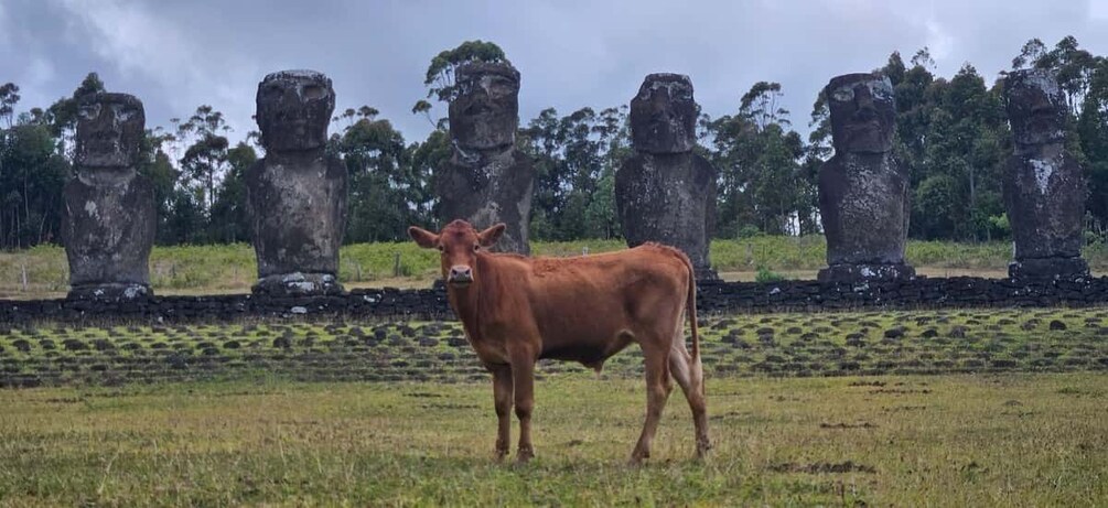 A cow in a field with large stone statues in the background. 1
