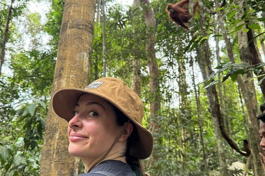 A person wearing a hat in a forested area with tall trees and dense foliage. 2