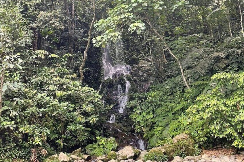A waterfall surrounded by dense forest. 2