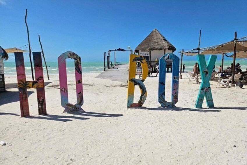 Holbox : swimming tour with whale sharks and snorkel 4