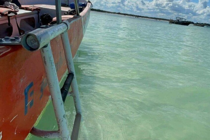 Holbox : swimming tour with whale sharks and snorkel 3