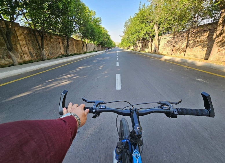 A person riding a bicycle down a tree-lined road with brick walls on both sides. 1