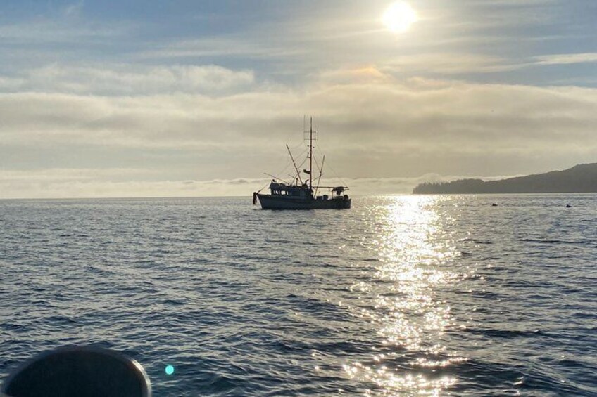 En båd på stille vand, hvor solen reflekteres i overfladen. 5