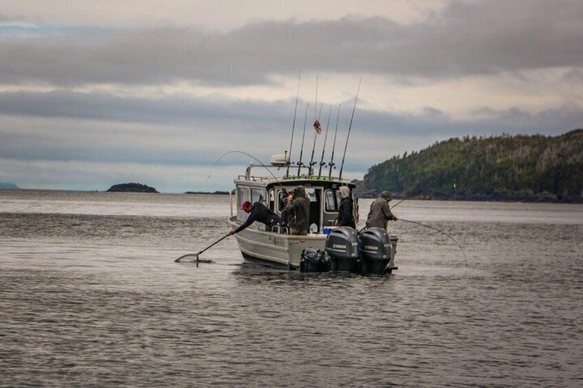 A boat with fishing equipment on calm water, a forested island in the background, and overcast skies. 5