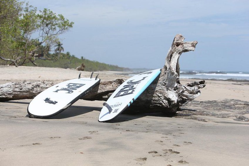 To surfbrædder, lænet op ad en drivtømmerstamme på en sandstrand, med havebølger i baggrunden. 3