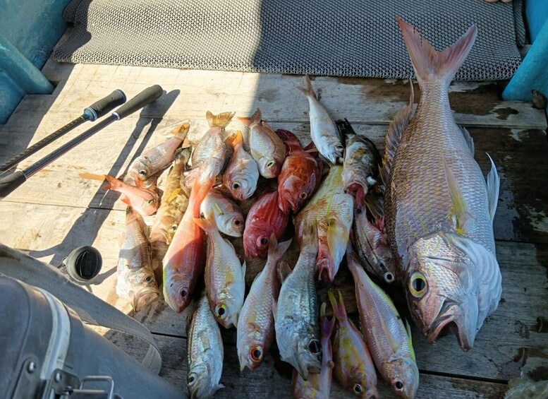 A variety of fish laid out on a wooden surface, with fishing tools nearby. 2