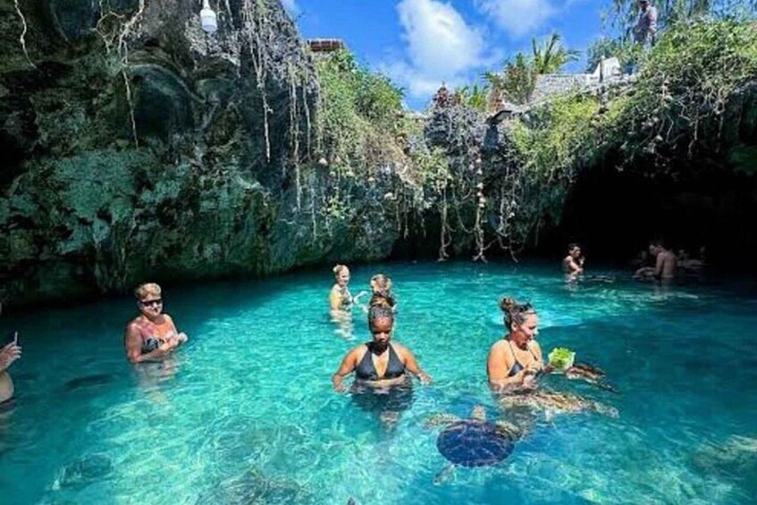 A group of people swimming in a natural pool surrounded by lush greenery and rocky formations. 5