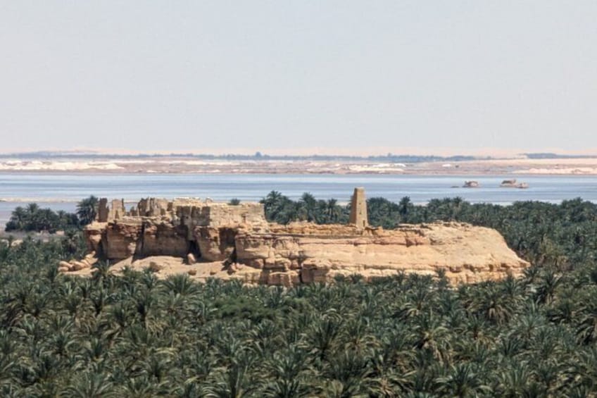 Ancient ruins with palm trees in the foreground and a river in the background. 5