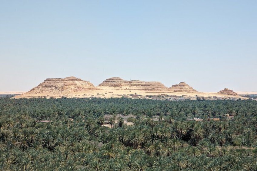 A desert landscape with palm trees and a series of hills in the background. 4