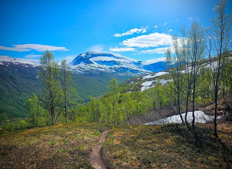 A mountain landscape with a clear sky, a snow-capped peak, and a forested valley. 1