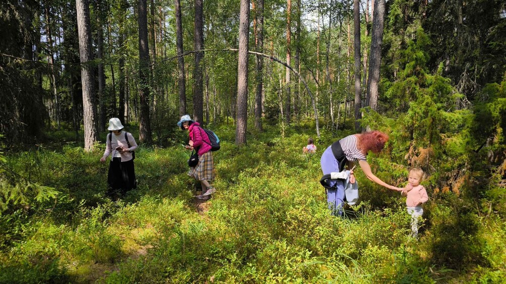 Picture 10 for Activity Solo Traveler's Day Trip to Wild Estonia from Tallinn 3