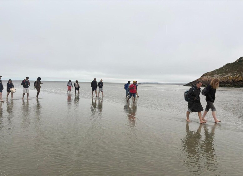 People walking on a wet beach with a rocky cliff in the background. 3
