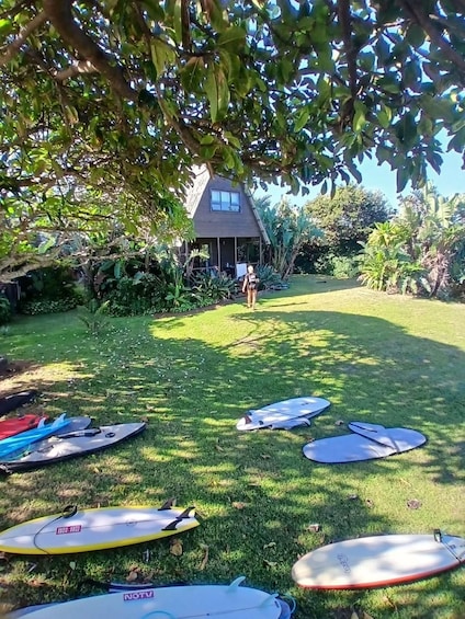 A grassy yard with several surfboards and a house in the background. 3