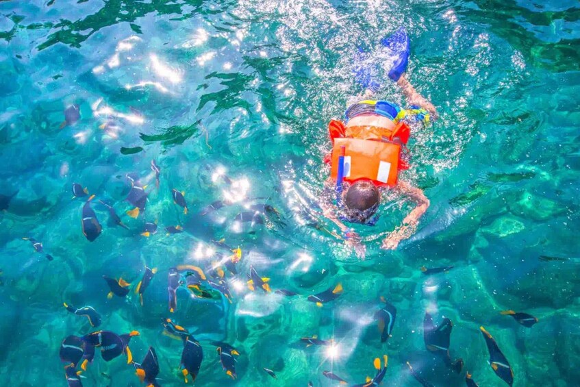A person swimming in clear blue water with tropical fish. 3