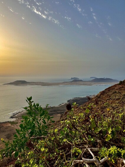 A coastal landscape with a clear sky, distant mountains, and a foreground of dense vegetation. 3