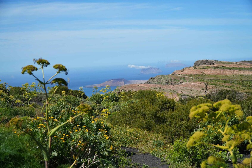 A coastal landscape with green vegetation, rocky outcrops, and the ocean in the distance. 5