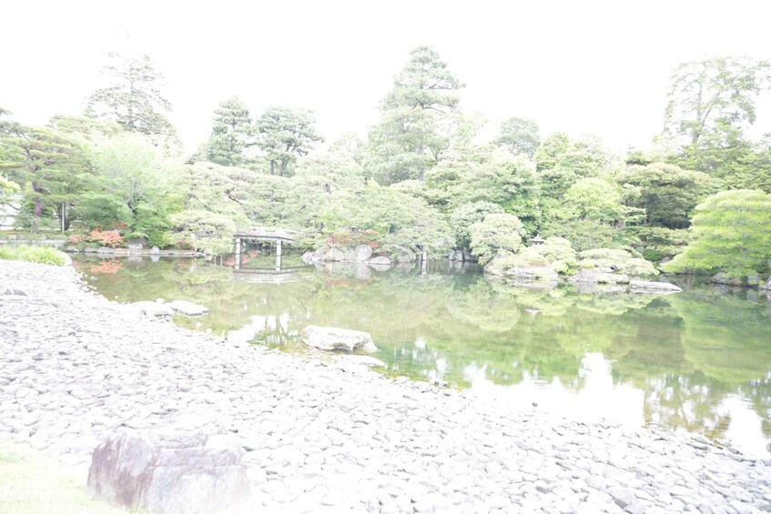 A tranquil garden with a pond, rocks, and various trees. 2