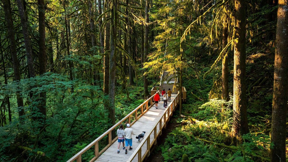 Picture 3 for Activity Squamish Canyon: Admission Ticket 5