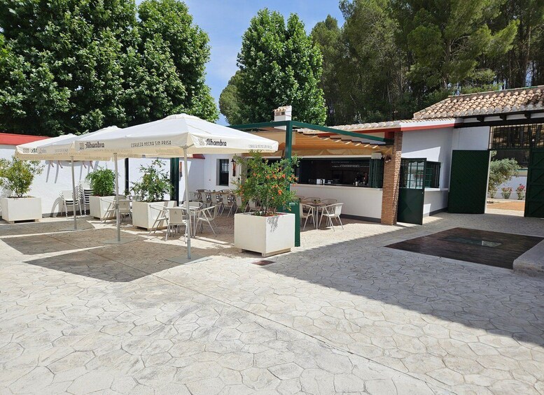 An outdoor café with white tables and chairs, surrounded by potted plants and a tiled patio. 1