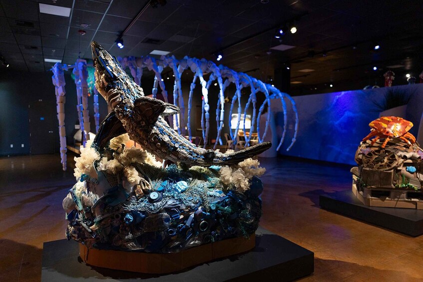 Picture 1 for Activity San Diego Natural History Museum Nighttime Entry Ticket 2