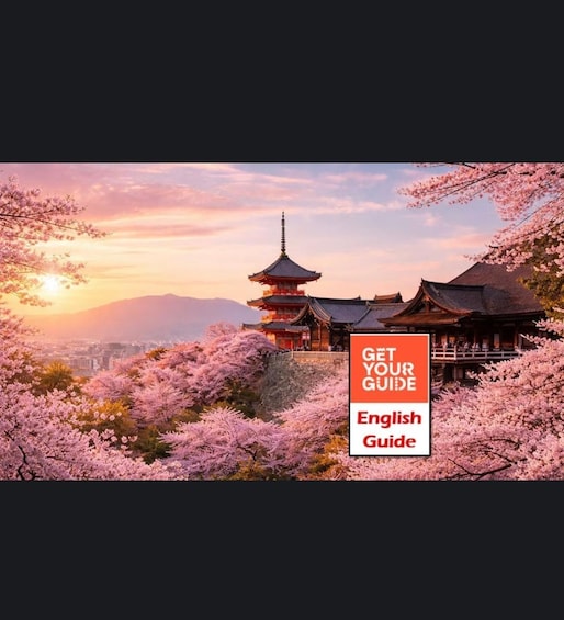 Picture 1 for Activity Kyoto: Private Customizable Day Tour with Guide and Vehicle 2