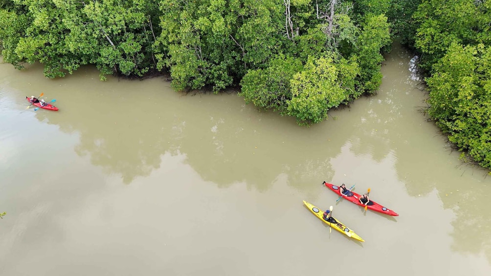 Three kayaks on a calm river surrounded by dense green foliage. 2