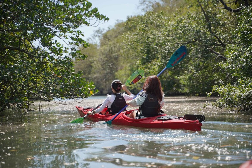 Picture 9 for Activity Labuan Bajo: Rangko Mangrove Kayaking Tour 5