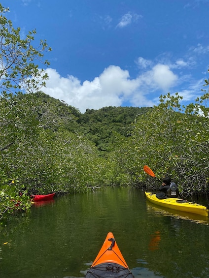 A kayaker in a yellow kayak paddling through a mangrove forest with a red boat in the background. 3