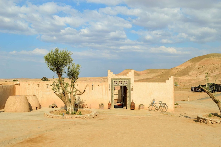 A desert landscape with a traditional building featuring a doorway, a tree, and a bicycle. 3