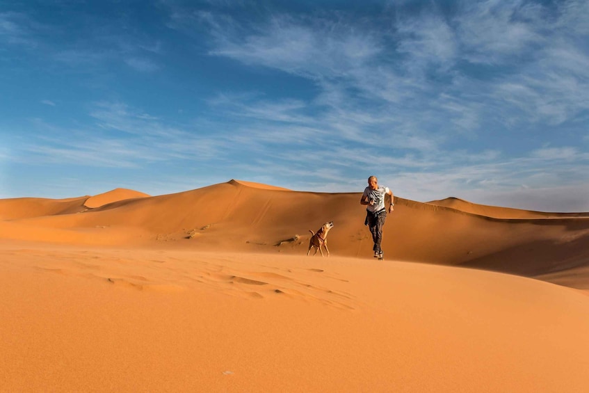 A person and a dog walking on a desert sand dune. 4